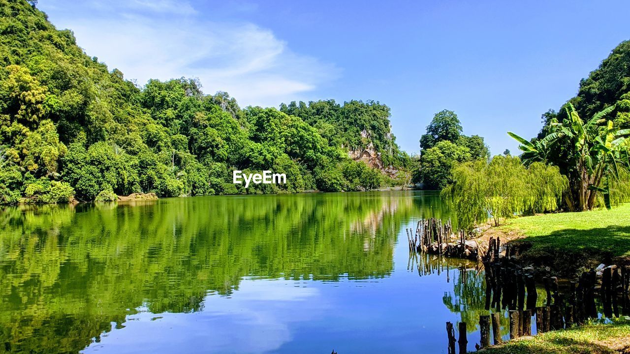 Scenic mirrored view of lake by trees against sky