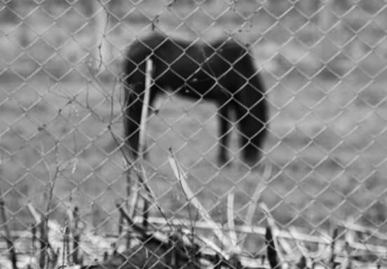 CLOSE-UP OF CHAINLINK FENCE AT NIGHT