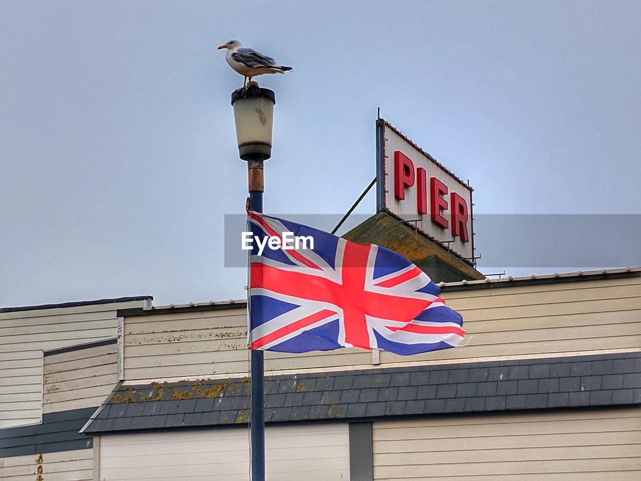 Low angle view of flag against building against sky