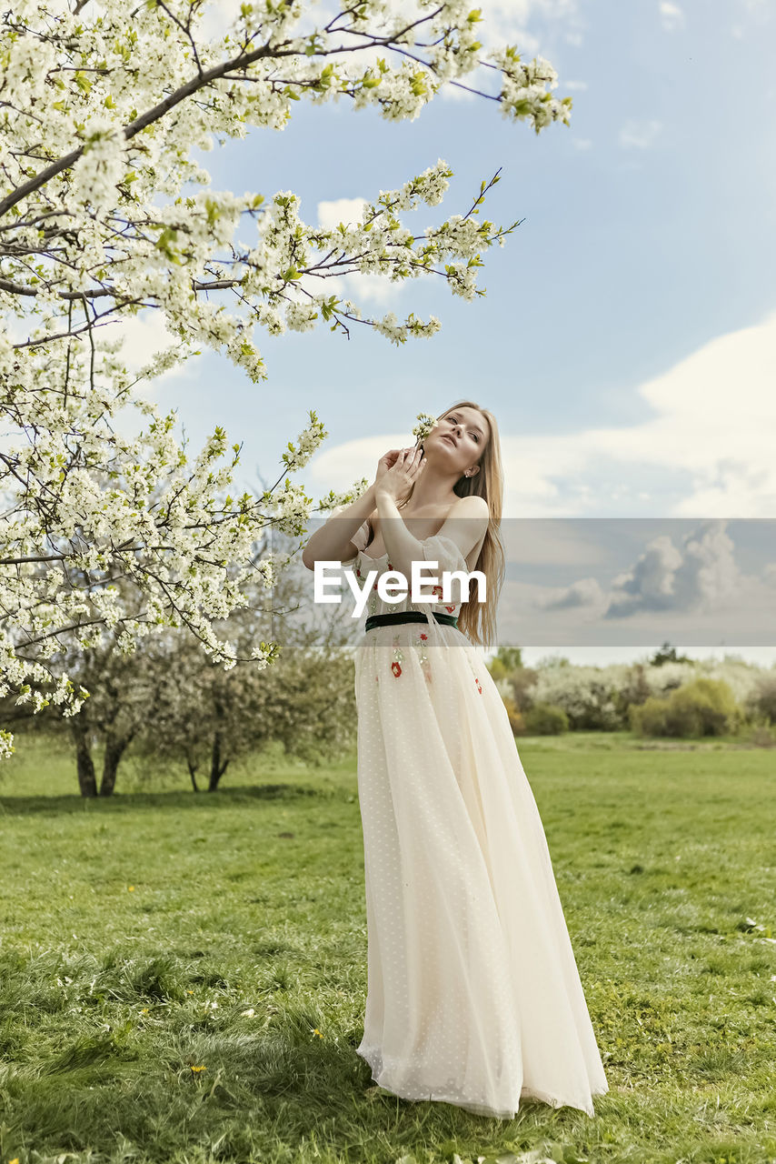 A young blonde in a long white dress poses near a cherry blossom in the garden, a spring landscape.