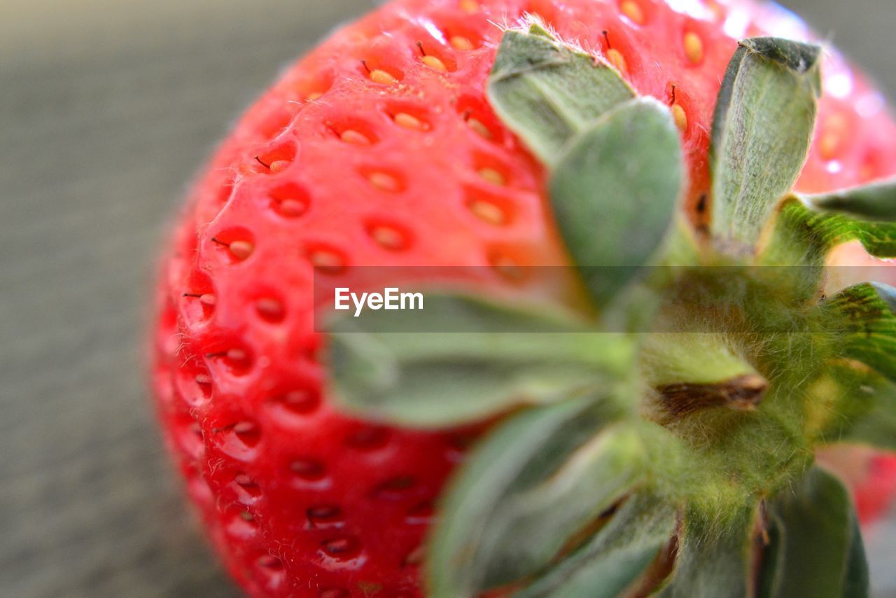 CLOSE-UP OF STRAWBERRY ON FRUIT