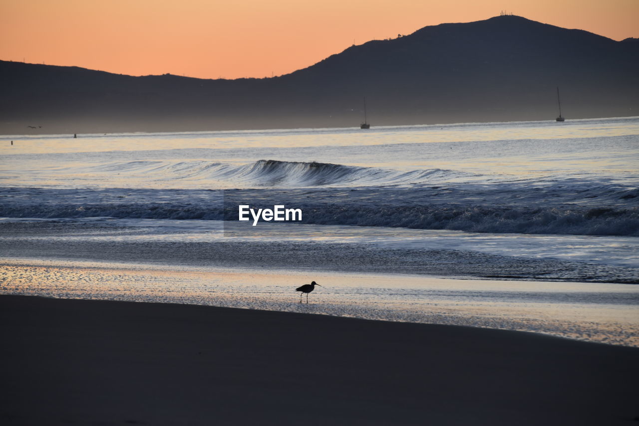 SCENIC VIEW OF BEACH DURING SUNSET