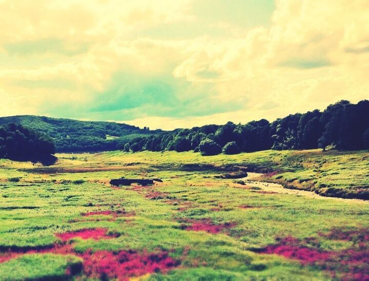 SCENIC VIEW OF LANDSCAPE AGAINST CLOUDY SKY