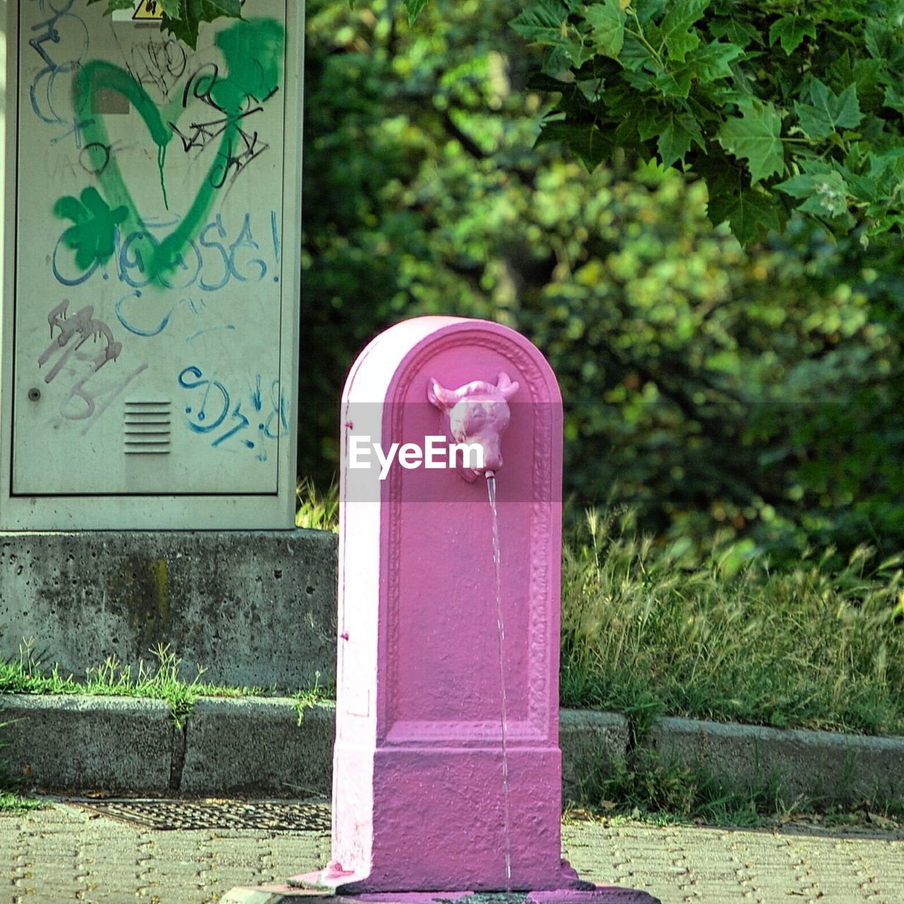 CLOSE-UP OF PINK DOOR AND GREEN PLANTS