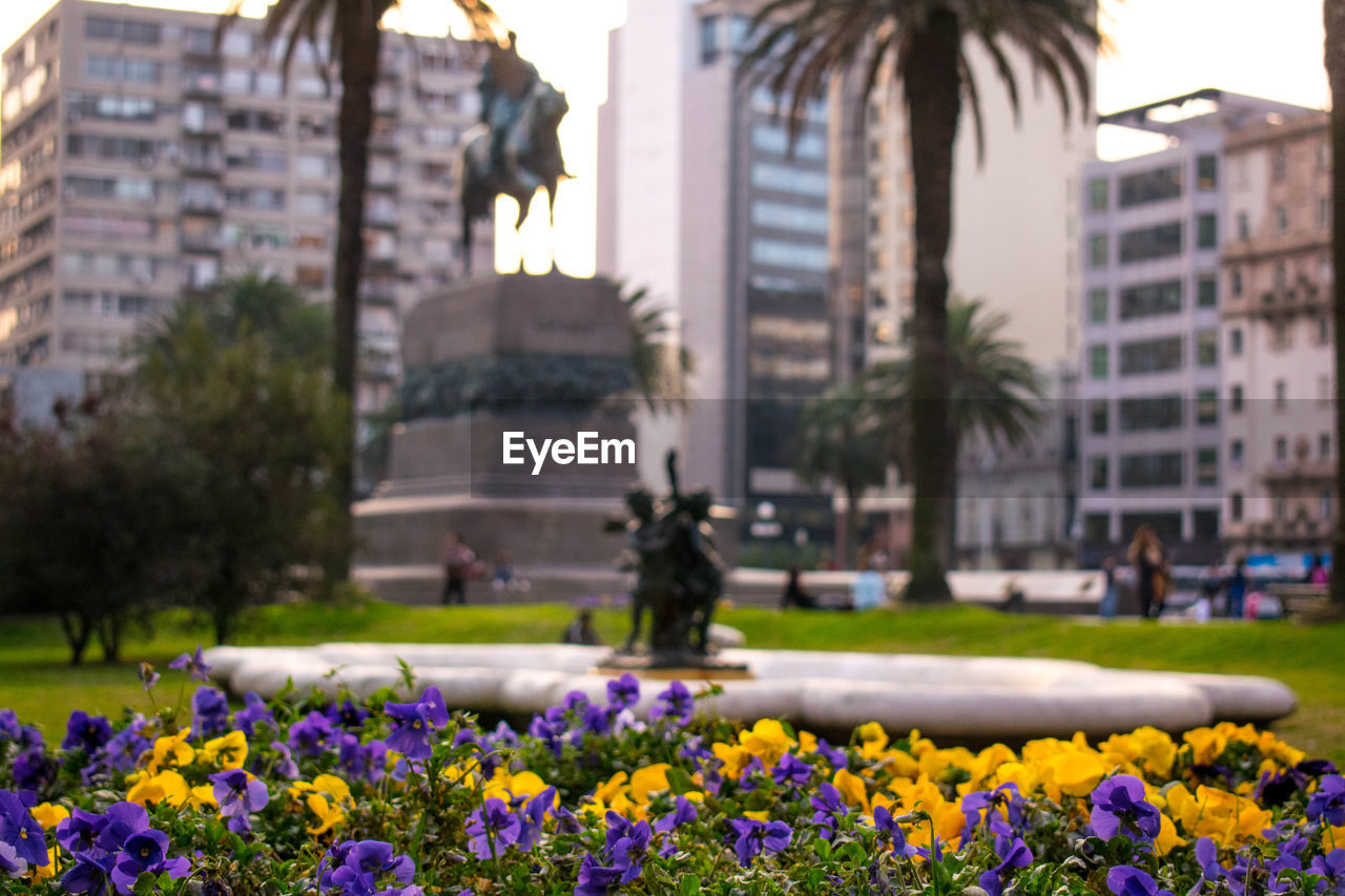 Plaza independencia, montevideo, uruguay