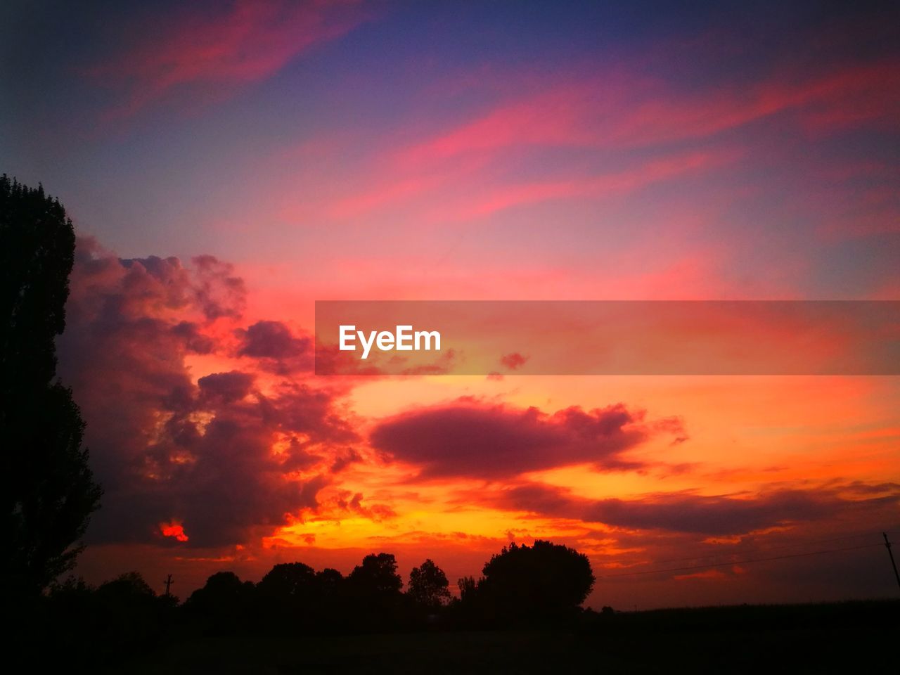 SCENIC VIEW OF SILHOUETTE TREES AGAINST ORANGE SKY