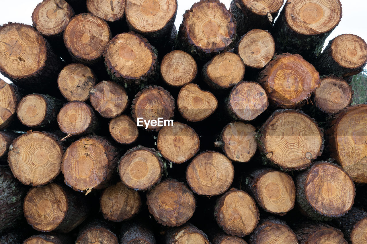 Close-up of a pile of wooden logs