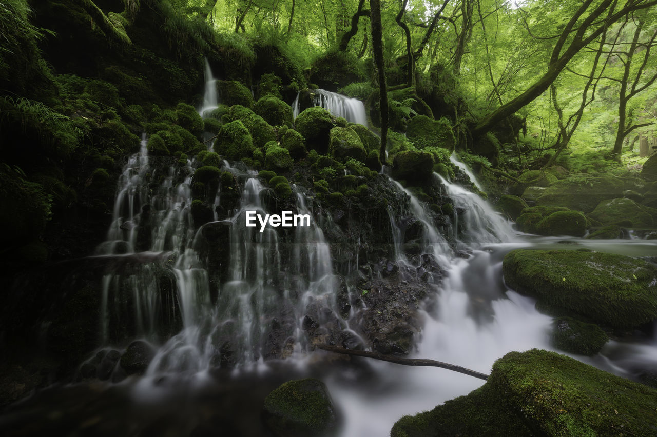 SCENIC VIEW OF WATERFALL