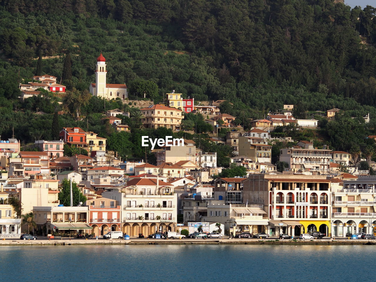 Buildings and trees in city