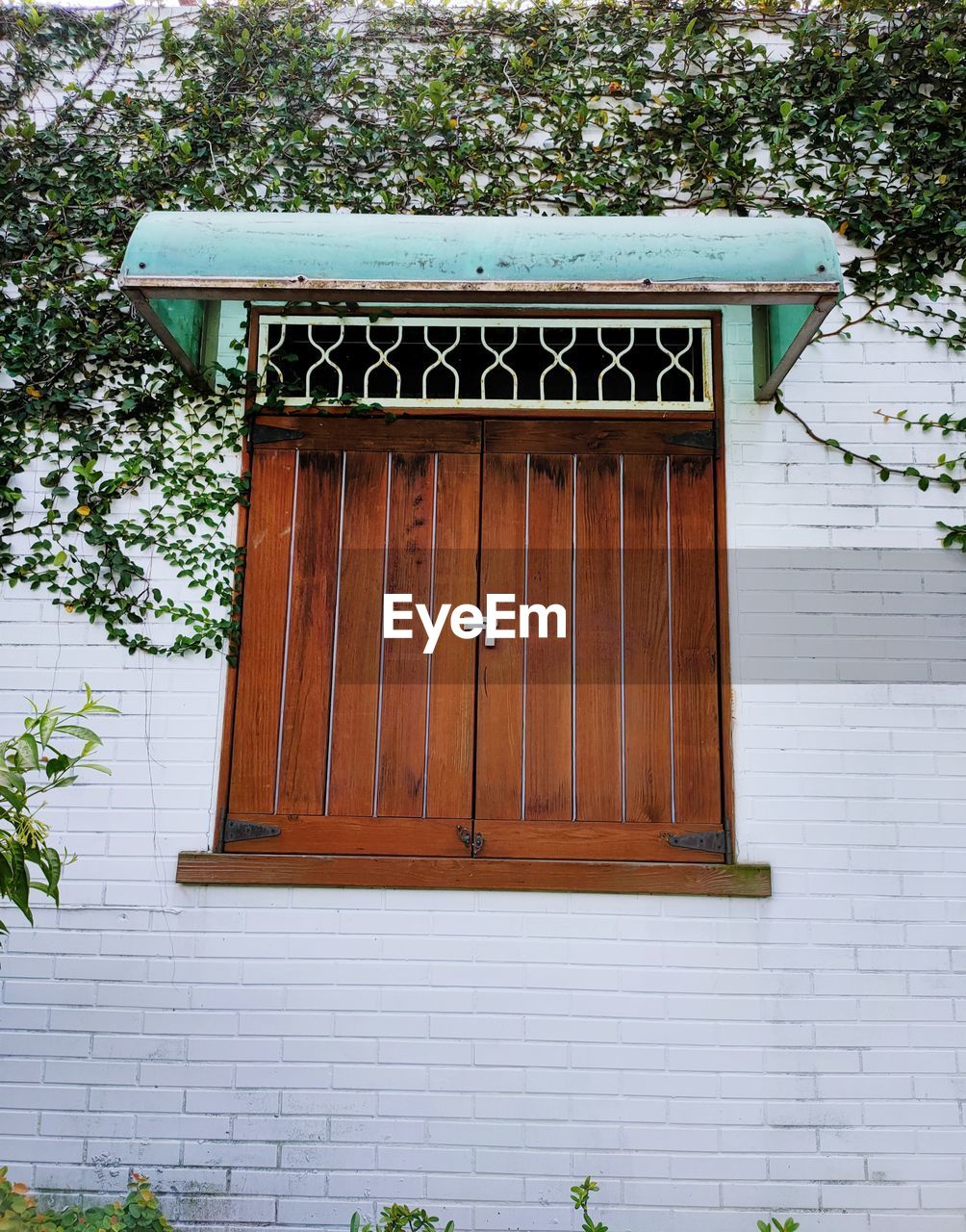 architecture, building exterior, built structure, plant, entrance, door, closed, building, no people, day, house, facade, wood, shed, nature, tree, security, outdoors, protection, outdoor structure, residential district, window, garage door, wall - building feature, home, green, wall