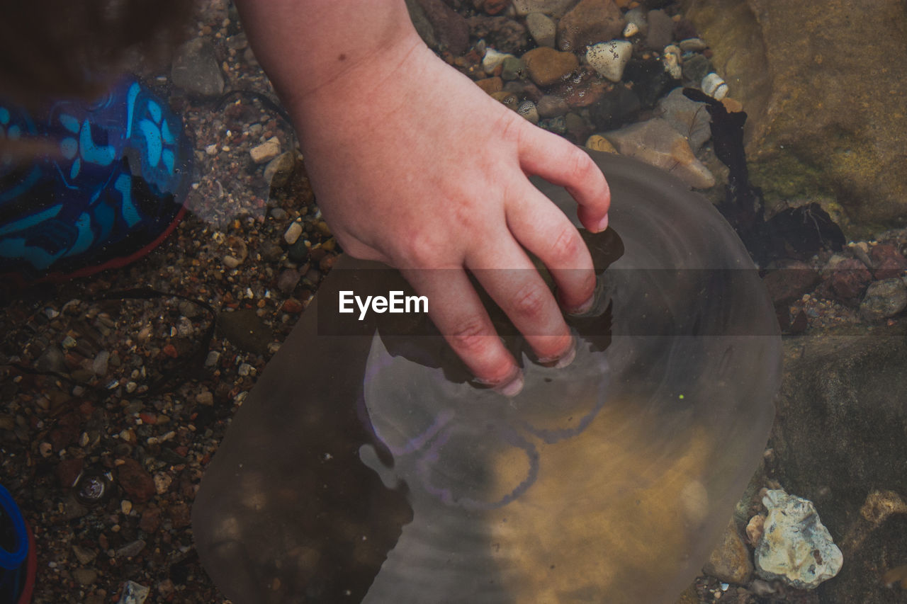 HIGH ANGLE VIEW OF HAND HOLDING WATER IN ROCK