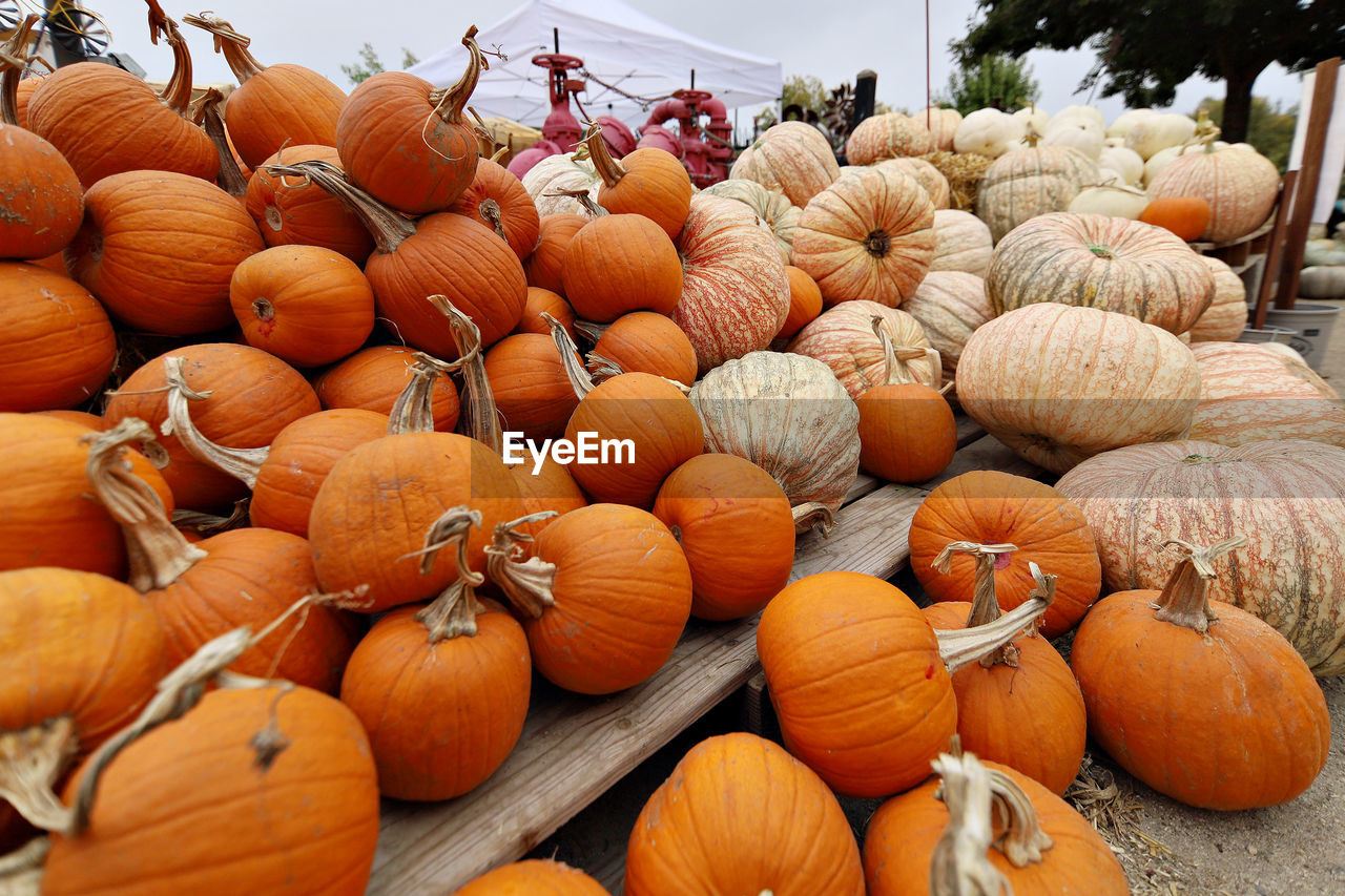 PUMPKINS IN MARKET STALL