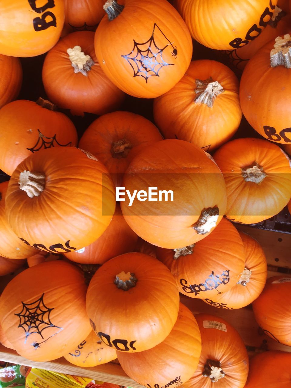 High angle view of pumpkins with text for sale