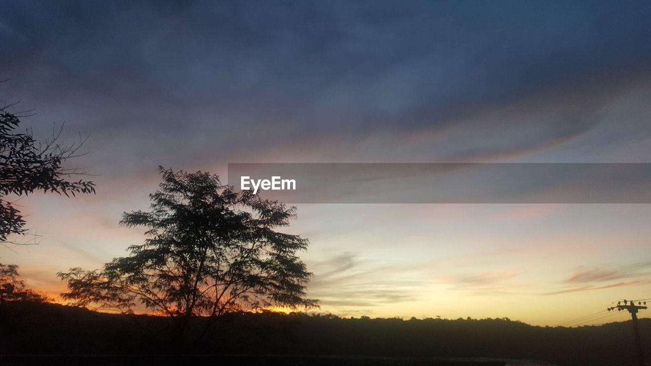 SILHOUETTE TREES ON FIELD AGAINST ORANGE SKY