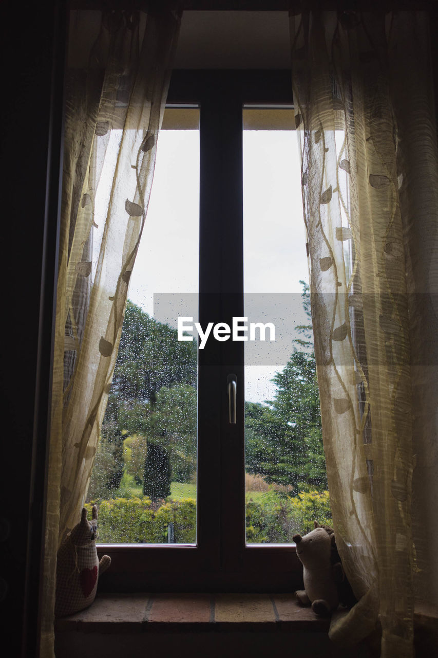 Trees seen through window of house