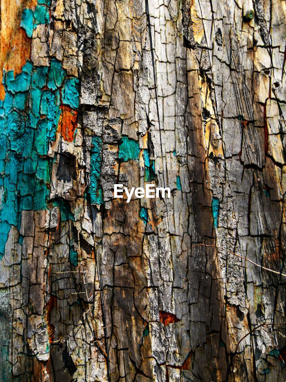 Full frame shot of wood grain