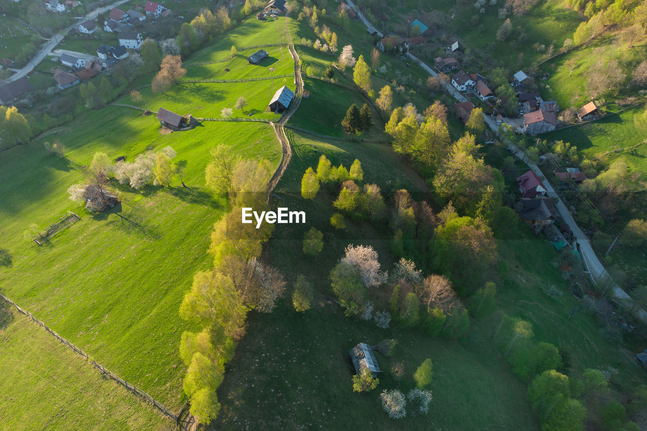 HIGH ANGLE VIEW OF TREES GROWING ON FIELD AGAINST SKY