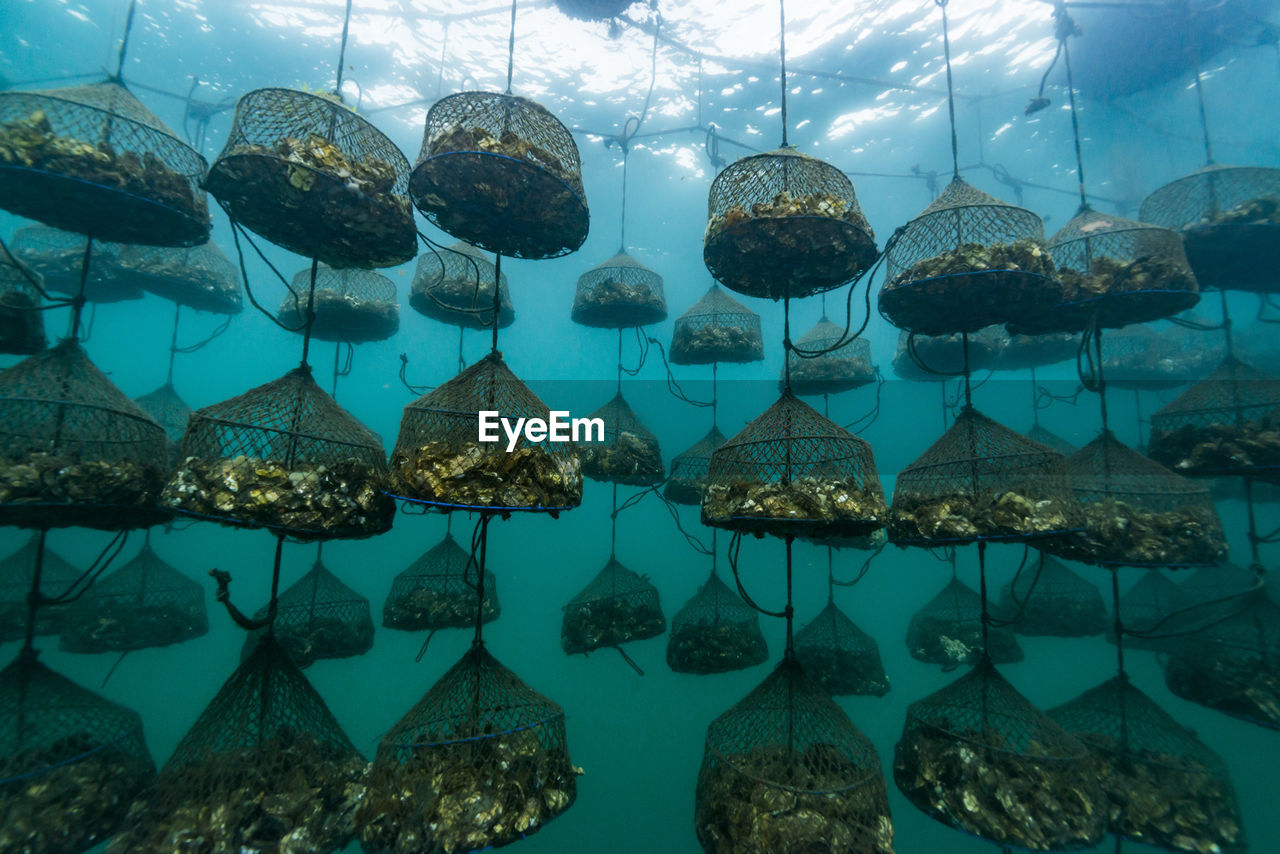 Oyster farm, ishikawa, notojima , japan