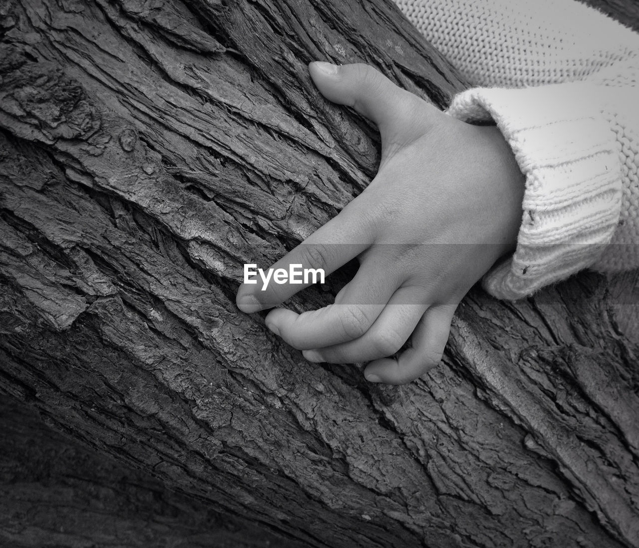 Cropped image of hand hugging tree trunk