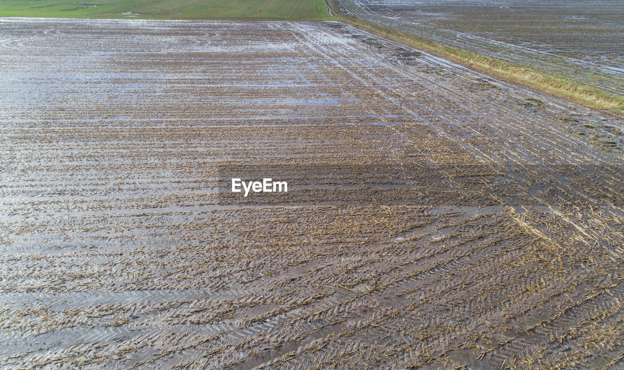 TIRE TRACKS ON AGRICULTURAL FIELD