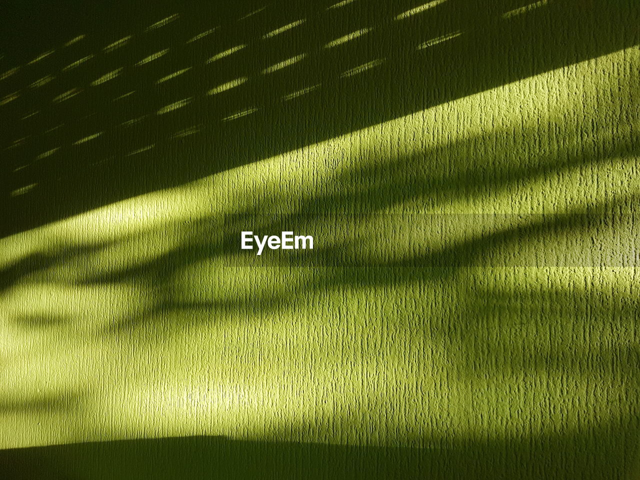 FULL FRAME SHOT OF SHADOW ON GREEN LEAF