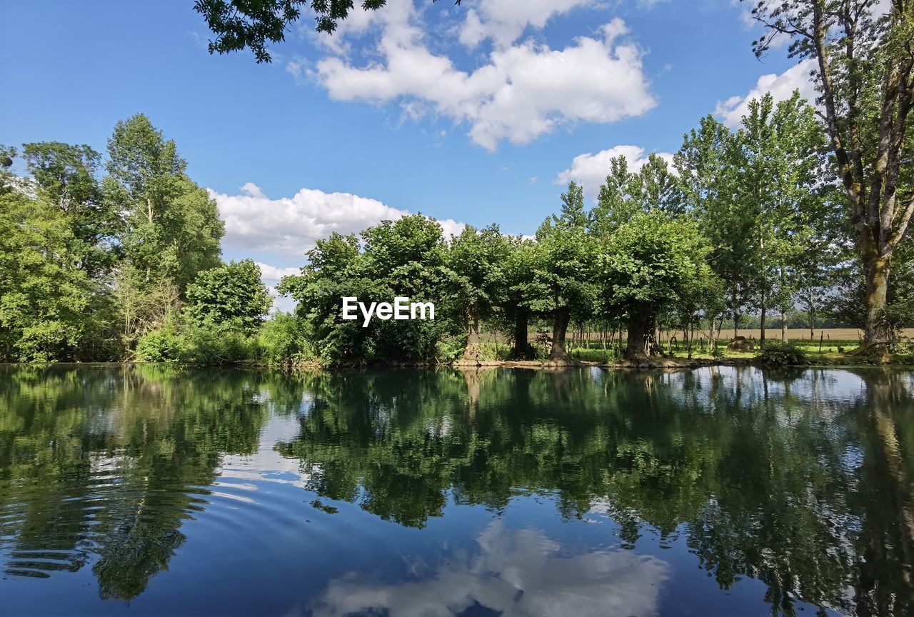 Scenic view of lake by trees against sky