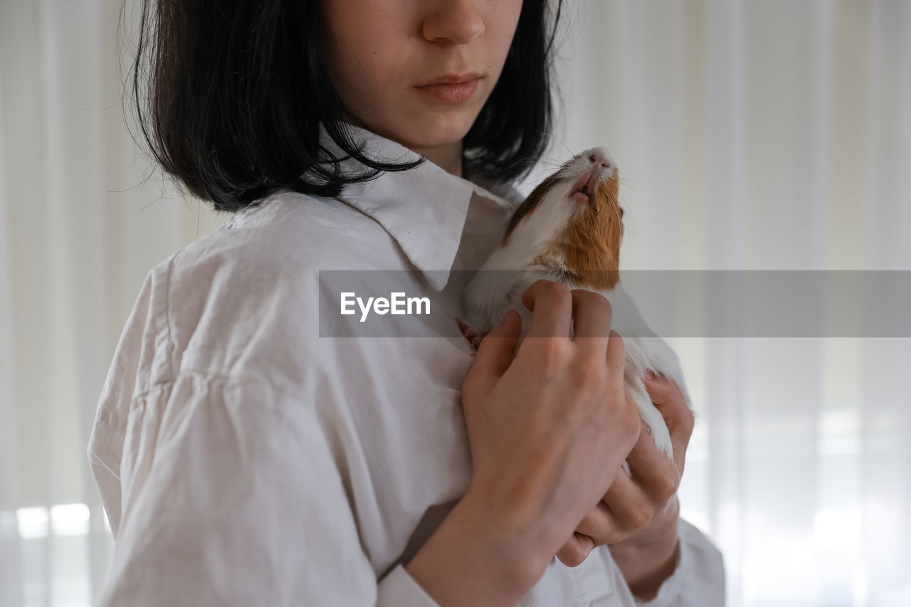 Cute guinea pig in the girl's arms, child and animal concept