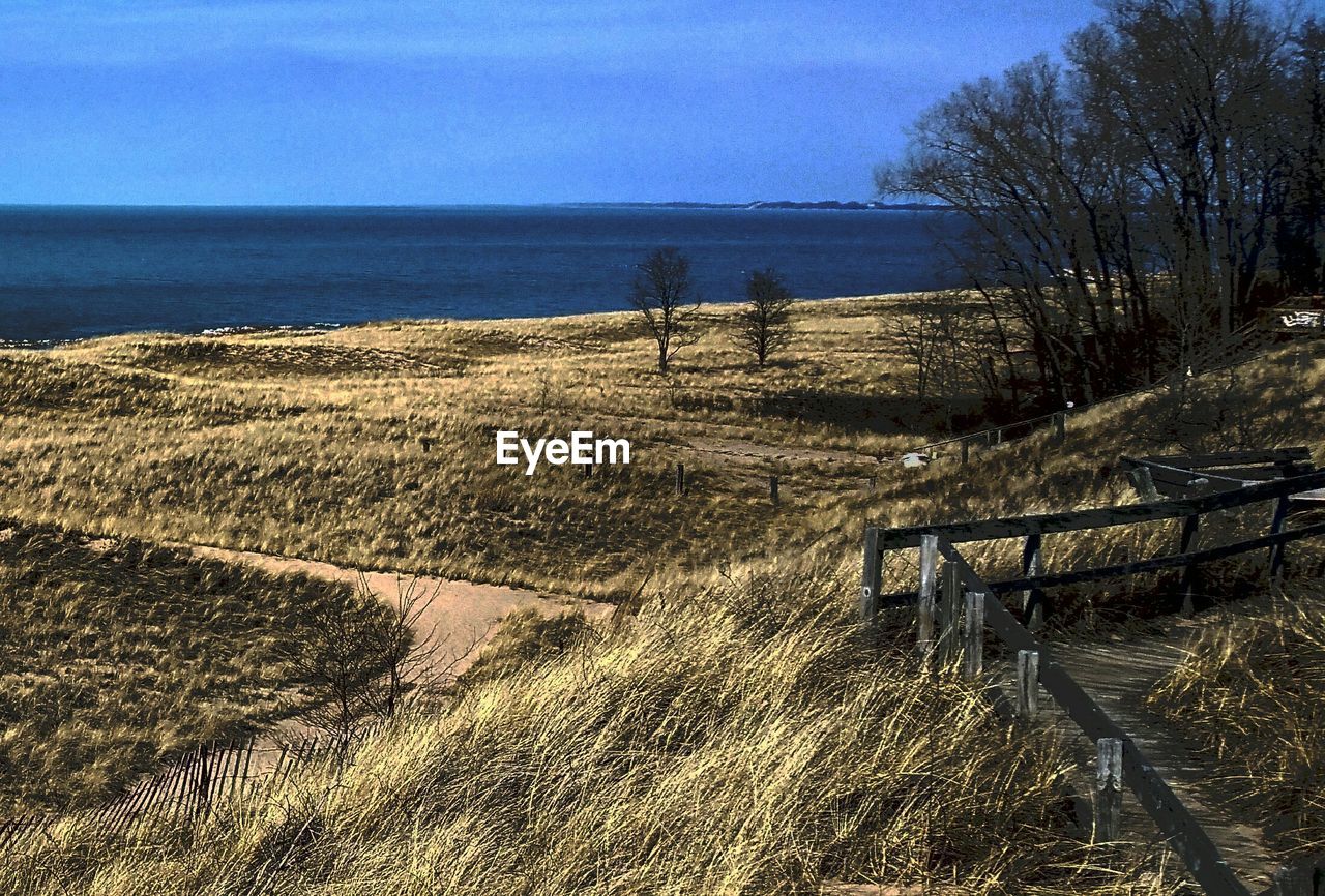 SCENIC VIEW OF SEA WITH TREES IN BACKGROUND