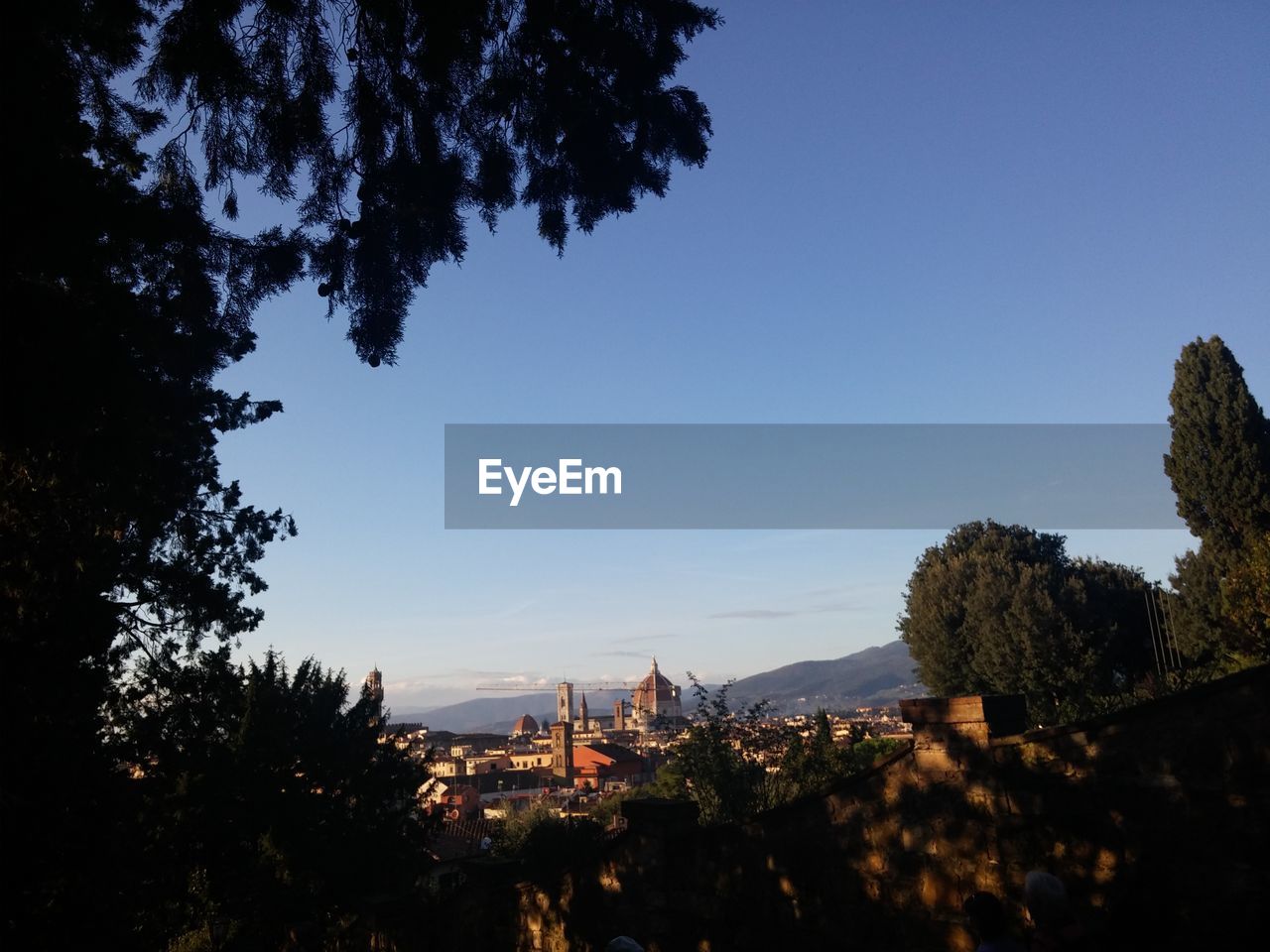 PANORAMIC VIEW OF TREES AGAINST SKY