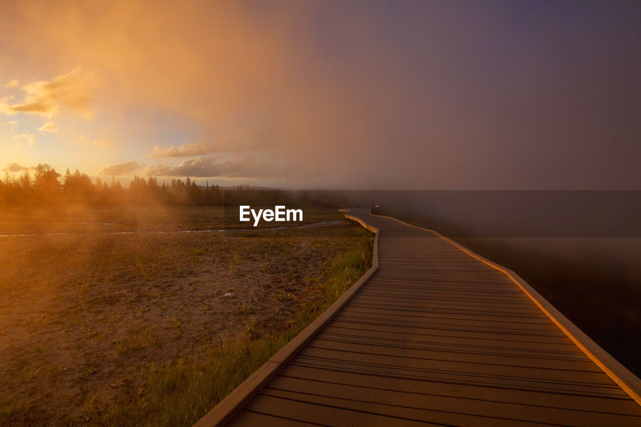 Yellowstone's geysers and thermal vents