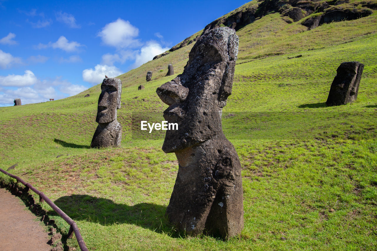 PANORAMIC VIEW OF TREE ON FIELD