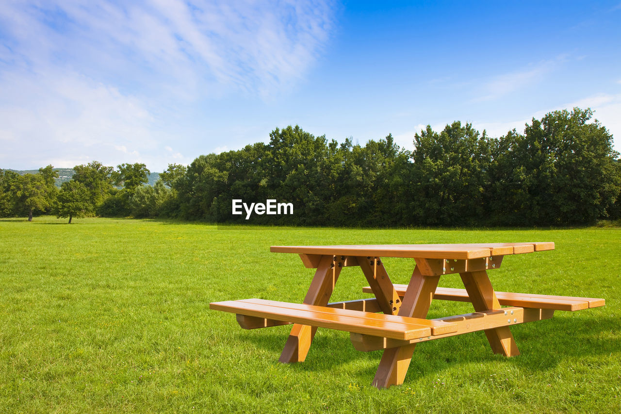 EMPTY BENCH ON FIELD AGAINST TREES