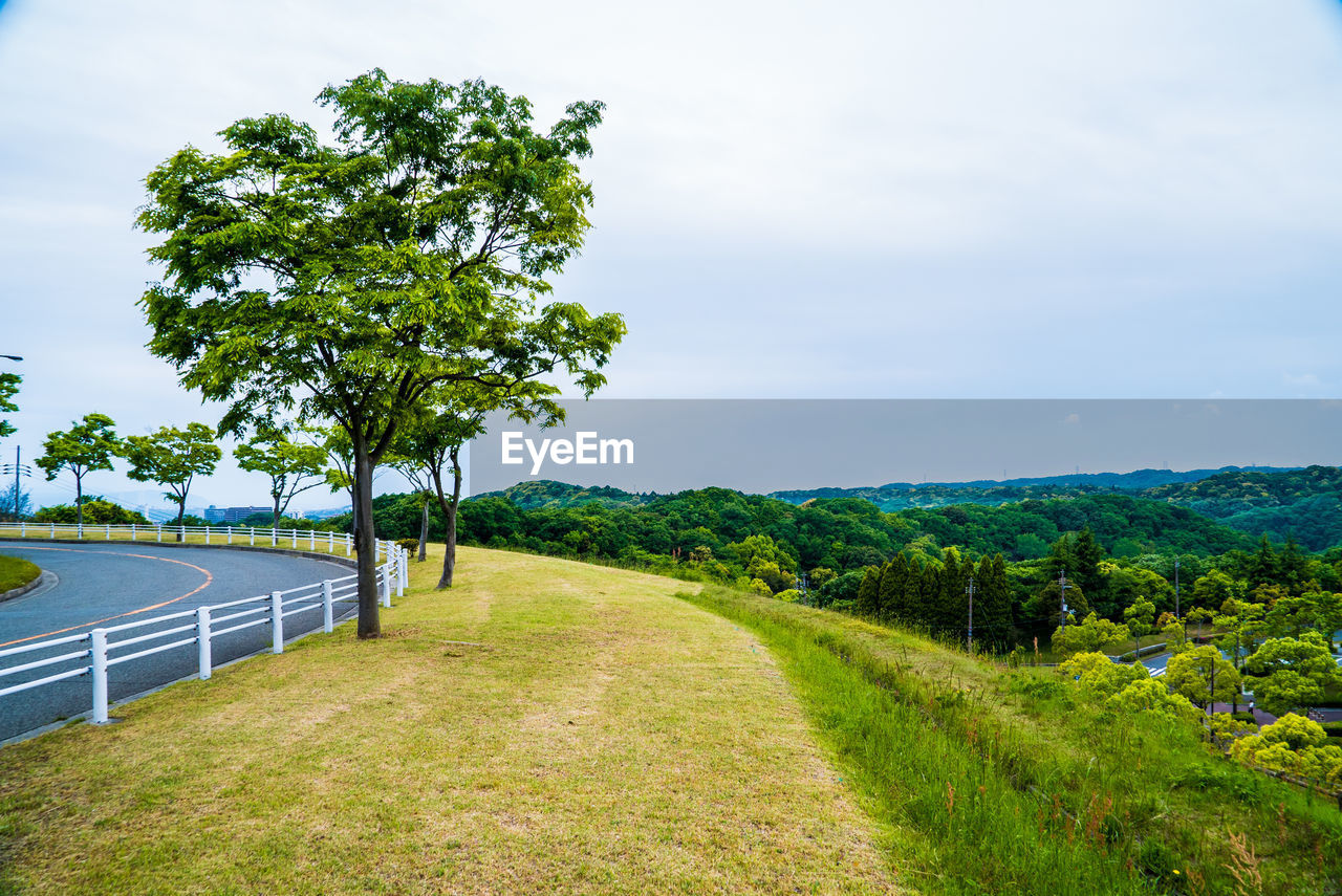 Scenic view of trees on field against sky