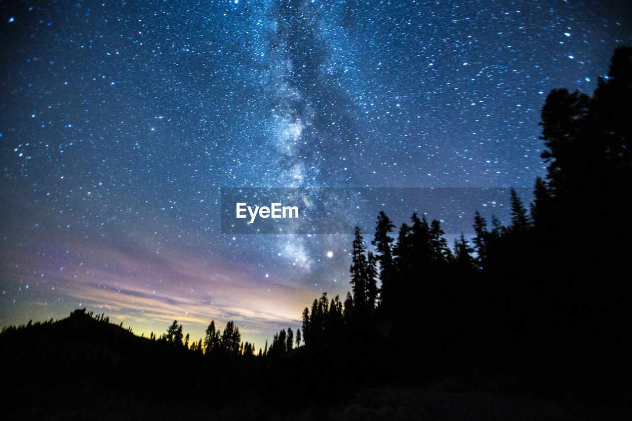 Silhouette trees on hill against milky way in starry sky at dusk