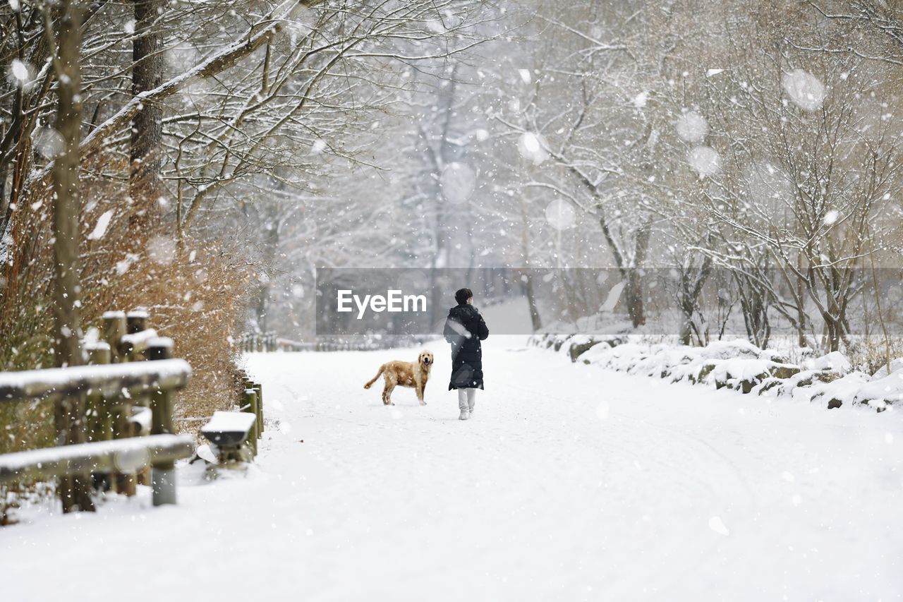 Rear view of boy walking with dog on snow covered land