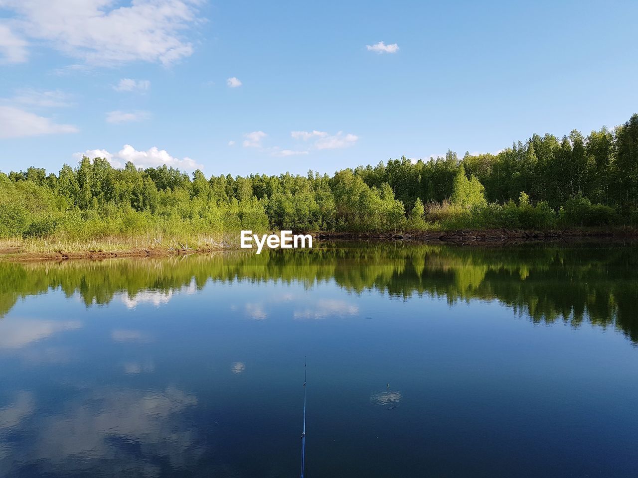 TREES BY LAKE AGAINST SKY