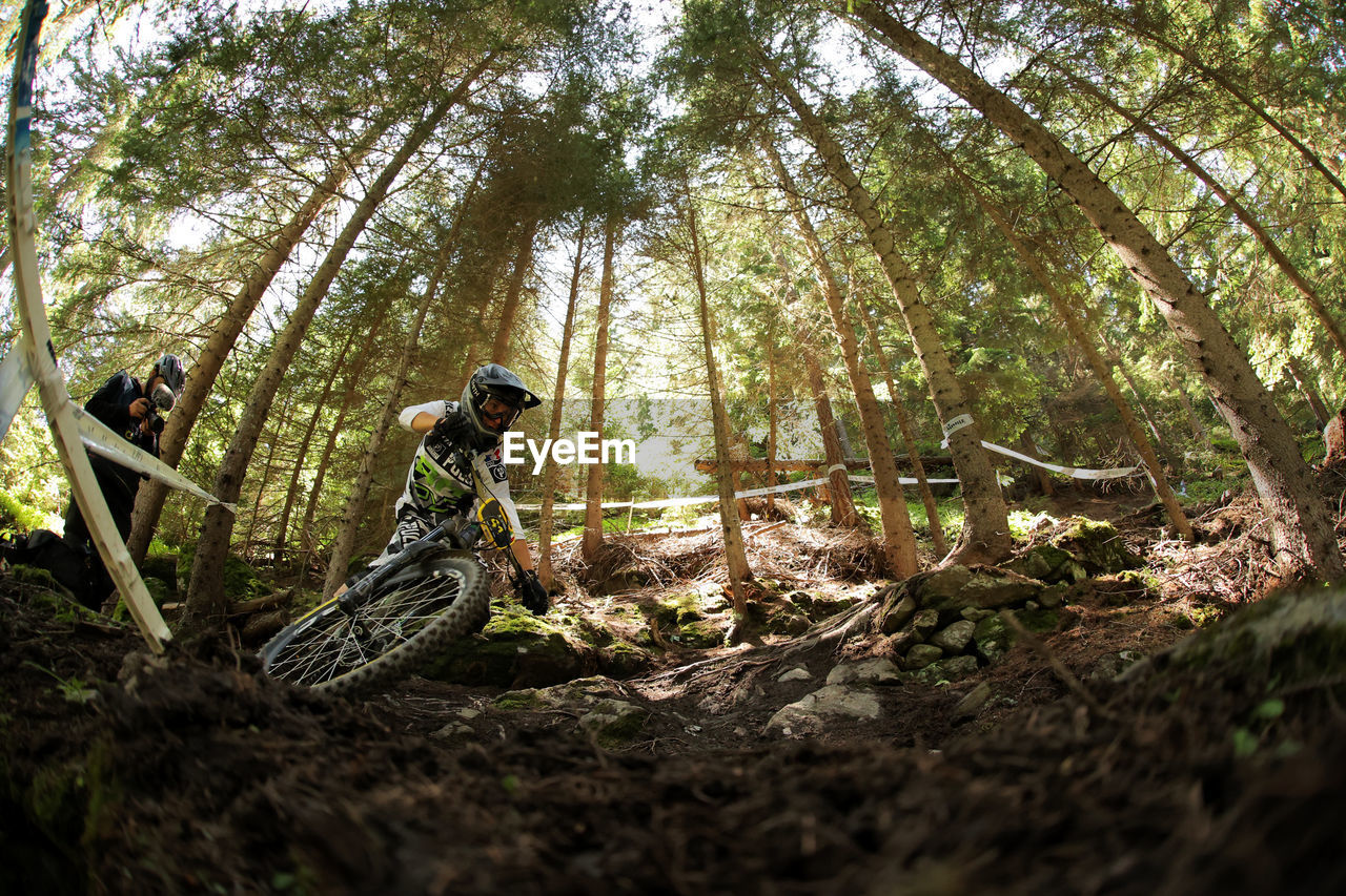 LOW ANGLE VIEW OF MAN ON TREE TRUNK