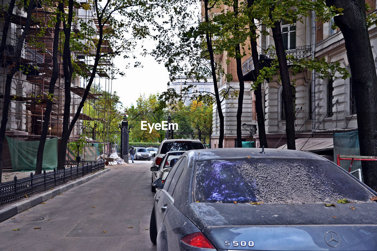 CARS PARKED ON ROAD AGAINST TREES