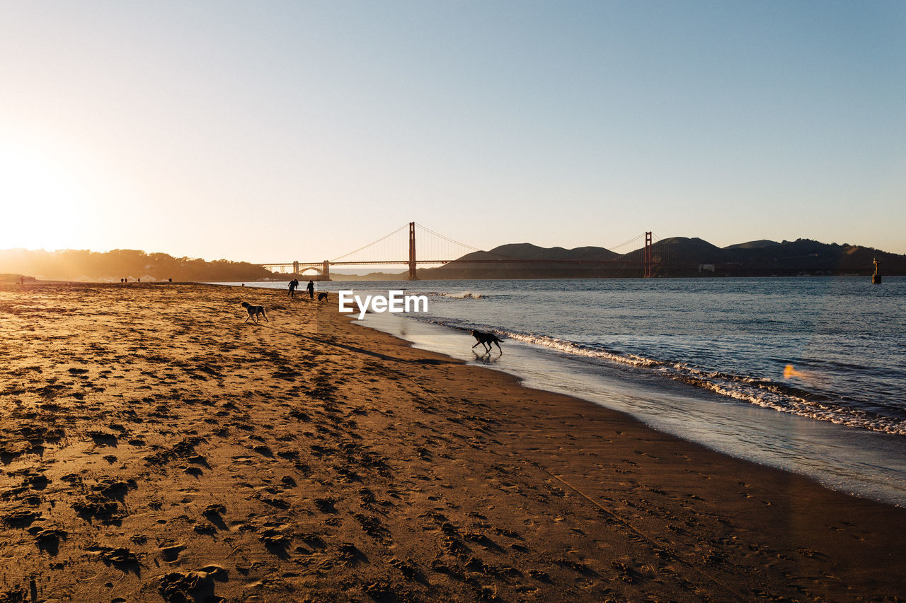 Scenic view of beach against clear sky