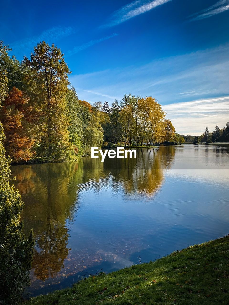 Scenic view of lake in forest against blue sky