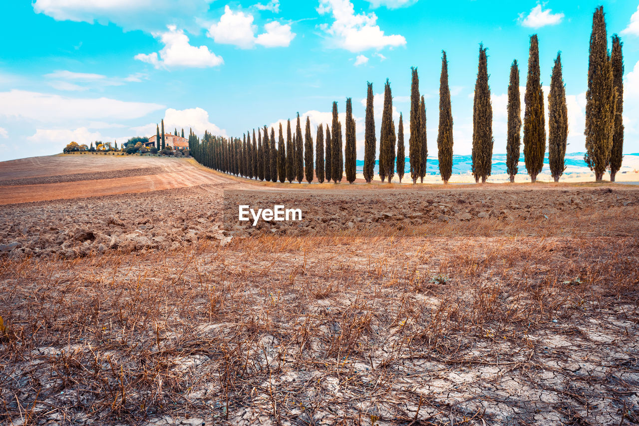 Panoramic view of land and trees on field against sky