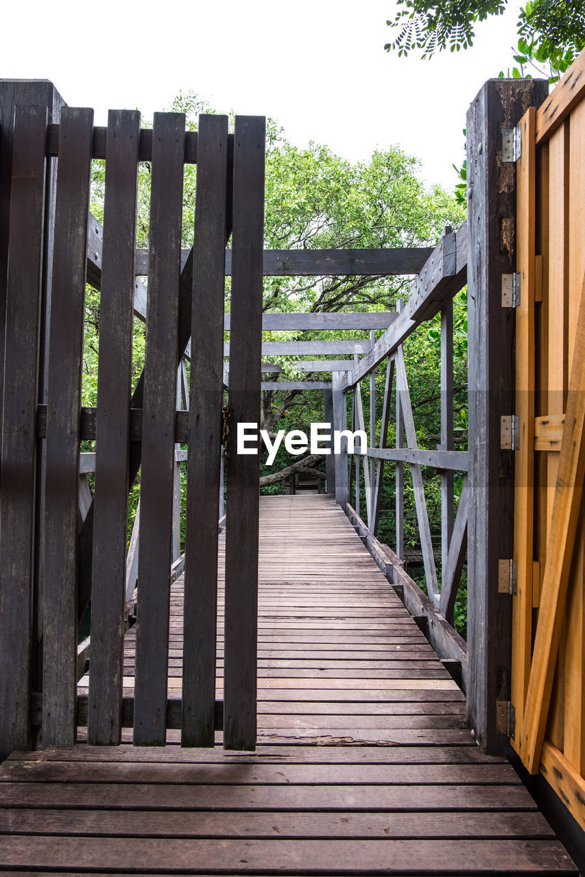 FOOTBRIDGE AMIDST TREES