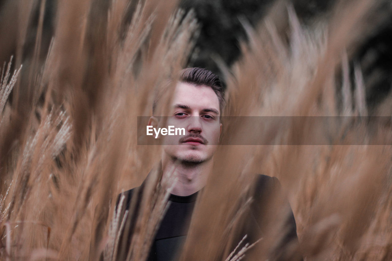 Portrait of young man seen through stalks standing on field