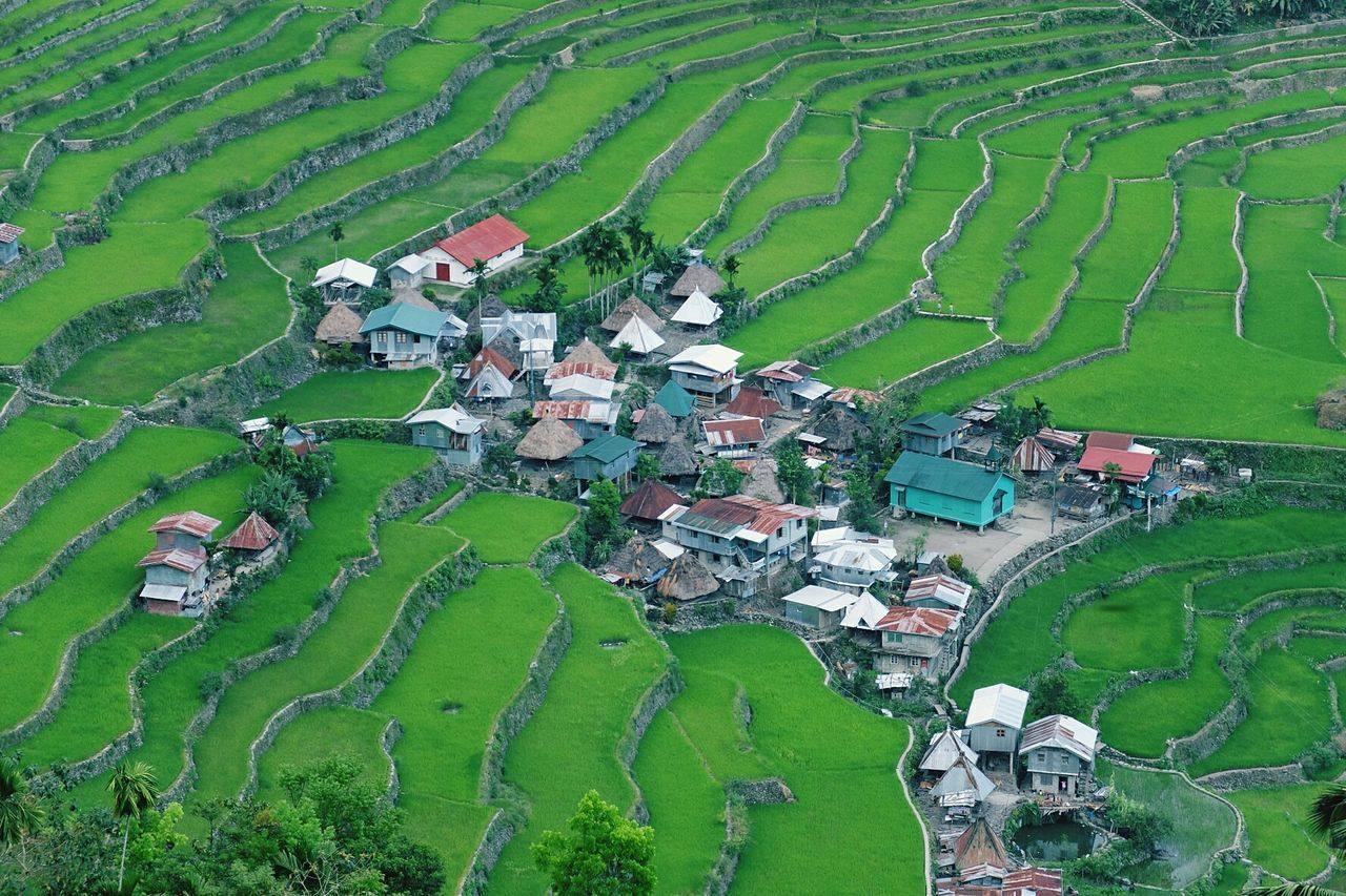 High angle view of houses amidst terrace field