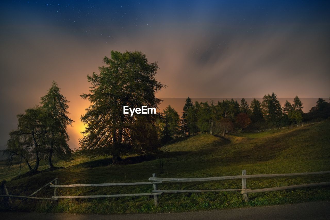 SCENIC VIEW OF TREES AGAINST SKY DURING NIGHT