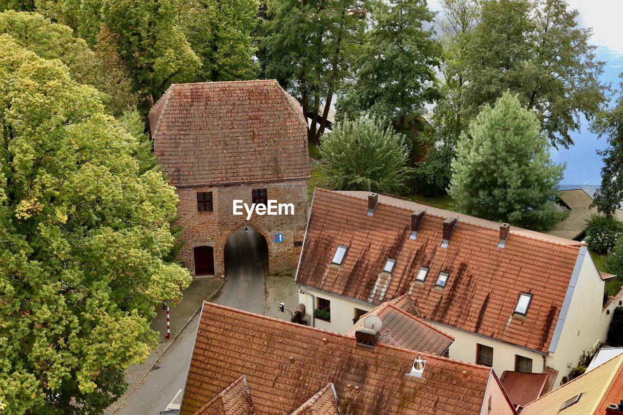 Houses by tree in town