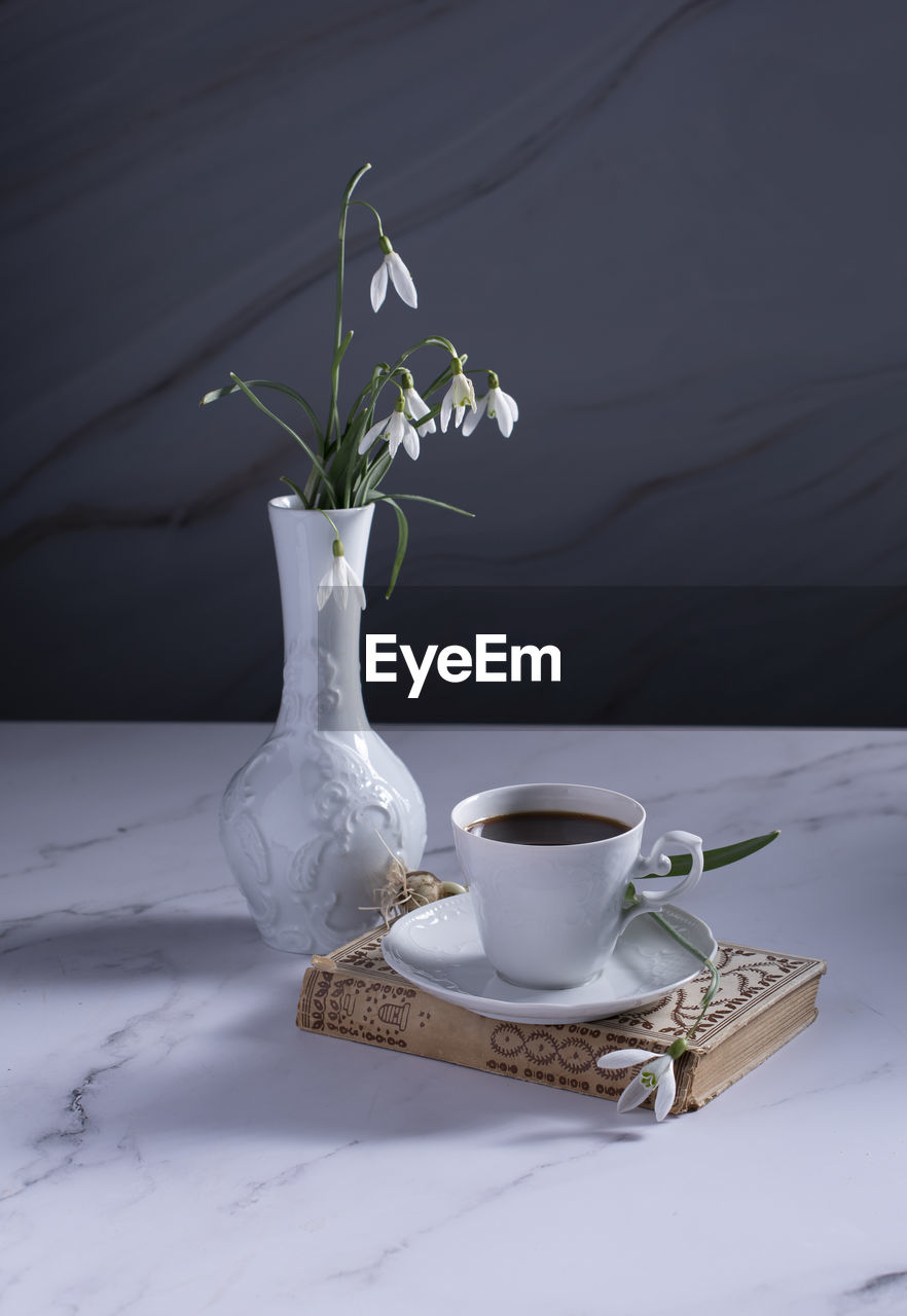Still life with snowdrops in a ceramic vase like a swan, coffee in a white cup
