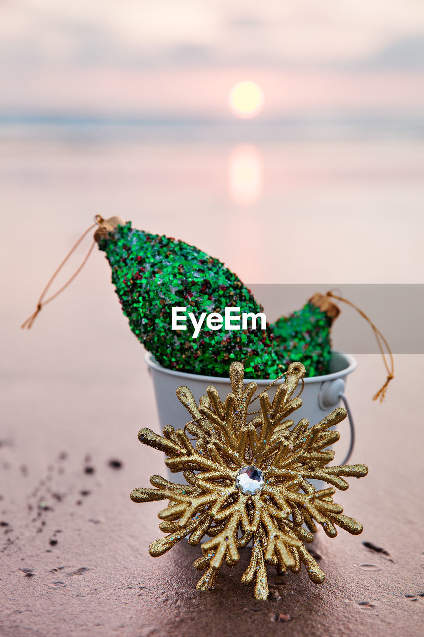 CLOSE-UP OF PLANT AGAINST SEA AT SUNSET