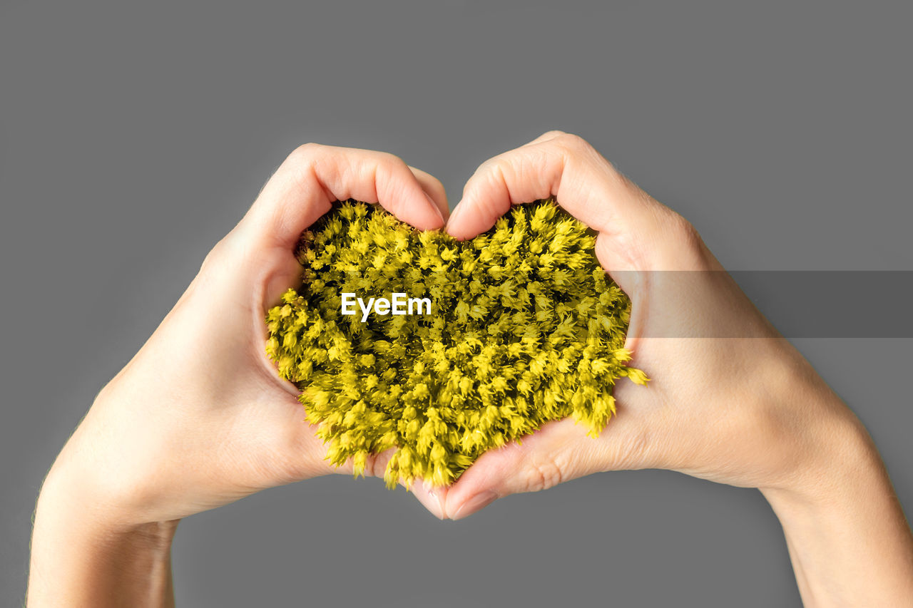 CLOSE-UP OF HUMAN HAND HOLDING LEAF