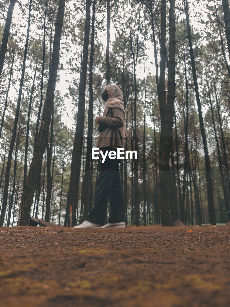 LOW ANGLE VIEW OF WOMAN AMIDST TREES AT FOREST